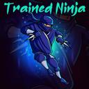 Trained Ninja Puzzle icon