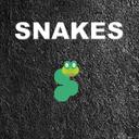 Snakes icon
