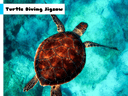 Turtle Diving Jigsaw icon