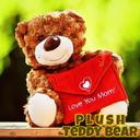 Plush Teddy Bear icon
