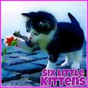 Six Little Kittens icon