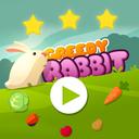 Greedy Rabbit Platformer icon