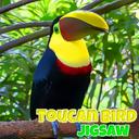 Toucan Bird Jigsaw icon