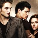Twilight Jigsaw Puzzle Collection icon