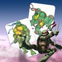 Ninja Turtles icon