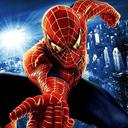 Spider Man Warrior icon