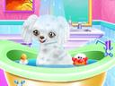 My New Poodle Friend icon