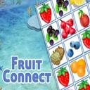 fruits connect icon