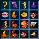 Sea Creatures Cards Match icon