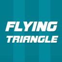 Flying Triangle icon
