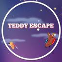 Escape with Teddy icon