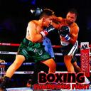 Boxing Champions Fight icon