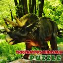 Triceratops Dinosaur Puzzle icon