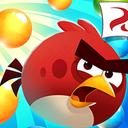 angry bird 2 - Friends angry icon