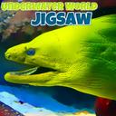 Underwater World Jigsaw icon