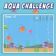Aqua Challenge