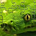 Snakes Jigsaw Puzzle icon