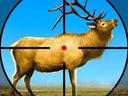 Wild Deer Hunting 3D icon