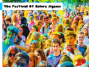 The Festival Of Colors Jigsaw icon