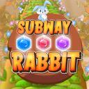 Subway Rabbit icon