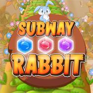 Subway Rabbit