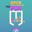 Open the Pin icon