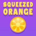 Squeezed Orange icon