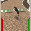 Crazy Real Dog Race icon