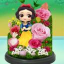 Princess Eternal Flower icon
