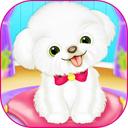 Pets Day Care Pro icon