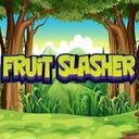 Fruit Slasher HD icon