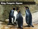 King Penguin Jigsaw icon