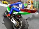 Motorcycle Pet Delivery icon