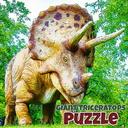 Giant Triceratops Puzzle icon