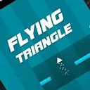 Flying Triangle 2021 icon