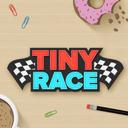 Tiny Race - Toy Car Racing icon