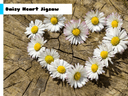 Daisy Heart Jigsaw icon