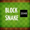 Snake 2048 icon