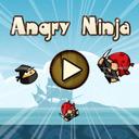Angry Ninjas icon
