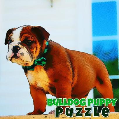 Bulldog Puppy Puzzle