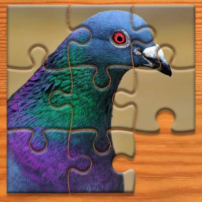 Pigeon Jigsaw Puzzle