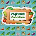 Vegetables Collection icon