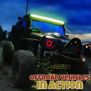 Offroad Vehicles in Action