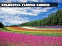 Colourful Flower Garden Jigsaw icon