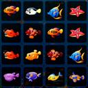 Fish Cards Match icon