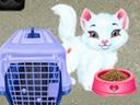 Baby Taylor Pet Care - Save Cute Animals icon