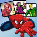 Spiderman Match Cards icon