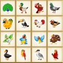 Birds Board Puzzles icon