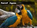 Parrot Jigsaw icon