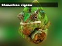 Chameleon Jigsaw icon